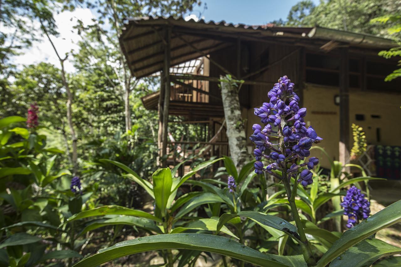 Chirapa Manta Amazon Lodge Lamas Zewnętrze zdjęcie