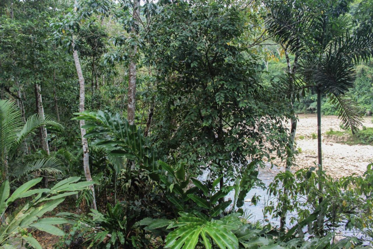 Chirapa Manta Amazon Lodge Lamas Zewnętrze zdjęcie