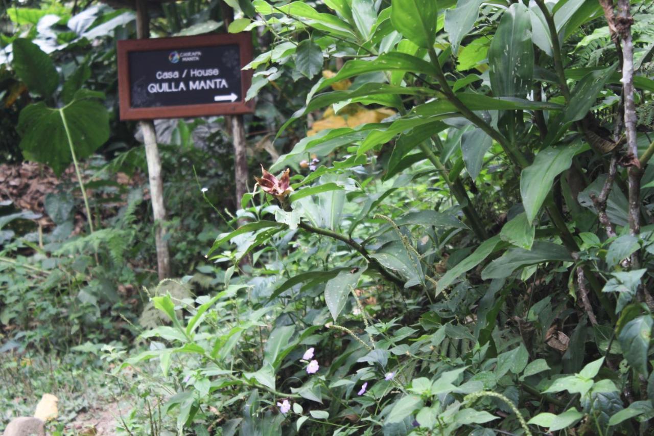 Chirapa Manta Amazon Lodge Lamas Zewnętrze zdjęcie
